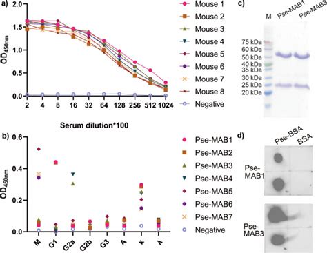 acinetobacter elisa kit|Mouse Acinetobacter species Monoclonal Antibody.